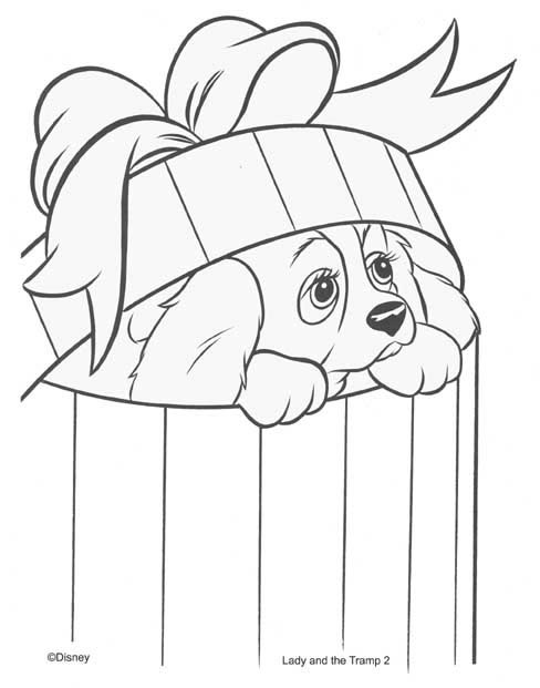 coloriage belle dans sa boite